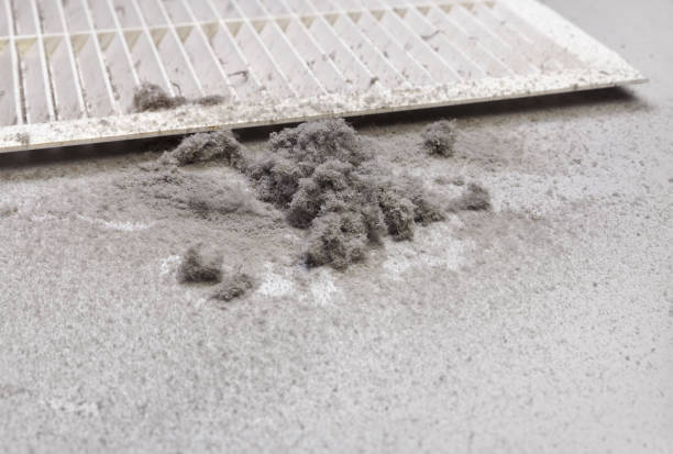 Best Ductwork Cleaning Services  in Ringgold, LA